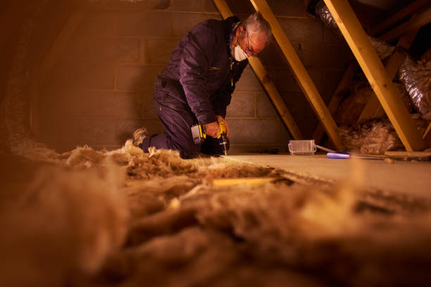 Best Insulation Contractors for Homes  in Tremont, PA